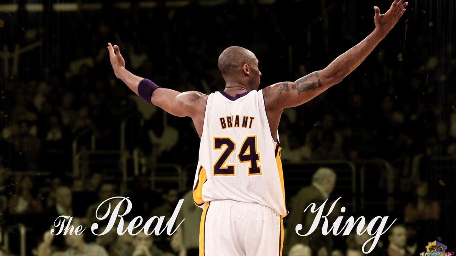 欧冠决赛焦点战，新疆队带走独行侠